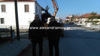 alexandriamou_trikala  (19)